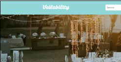 veilability home page